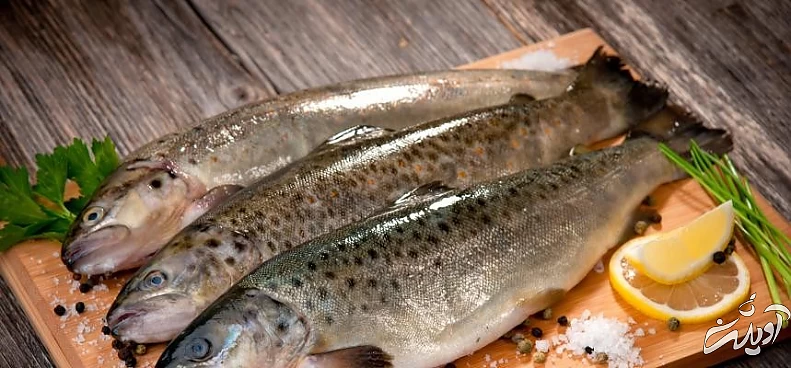 طرز تهیه ماهی شکم پر مجلسی و نکاتی برای خوشمزه تر شدن آن / منتشر نشود